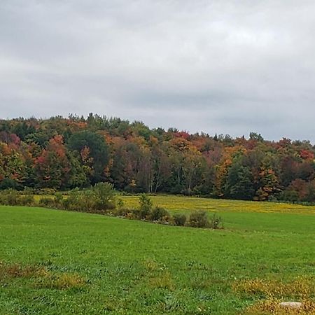 Cozy Country Farm Stay Fredonia Dış mekan fotoğraf