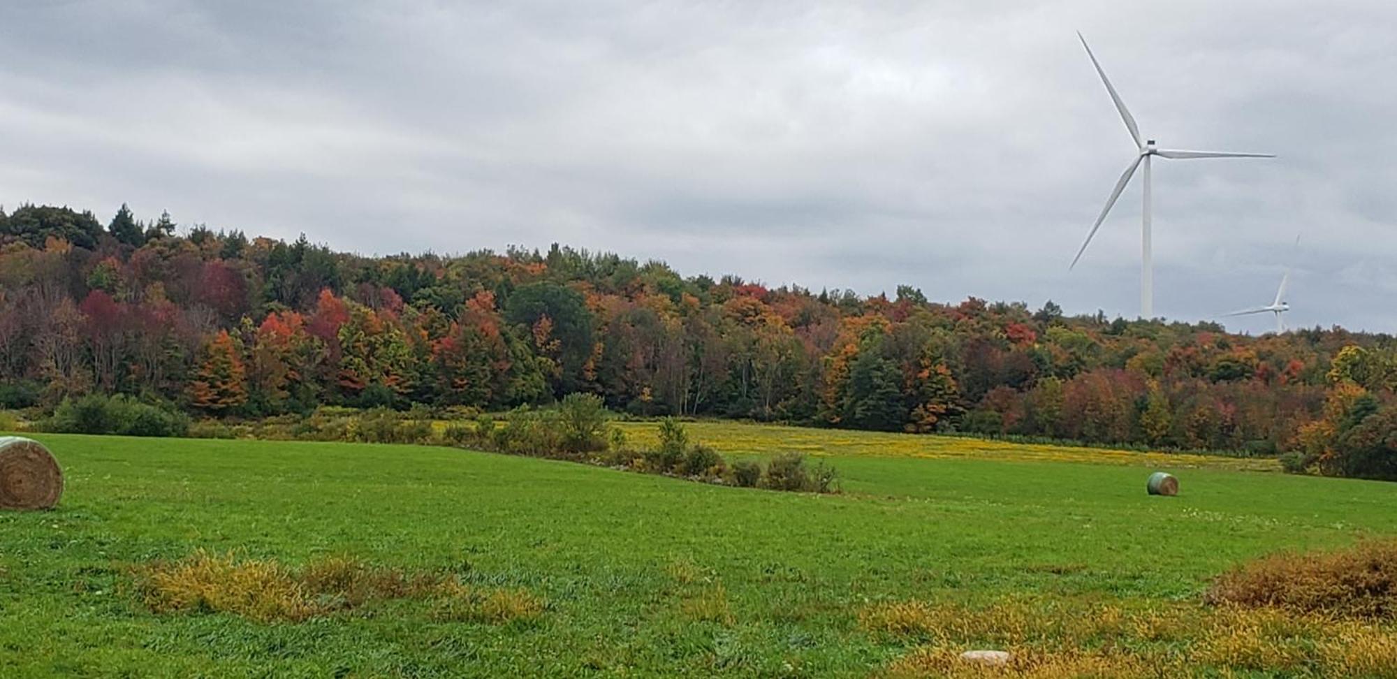 Cozy Country Farm Stay Fredonia Dış mekan fotoğraf